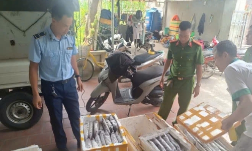 Thanh Hóa bắt, tiêu hủy gần 1,2 tấn côn trùng, động vật bốc mùi chuẩn bị bán làm thực phẩm