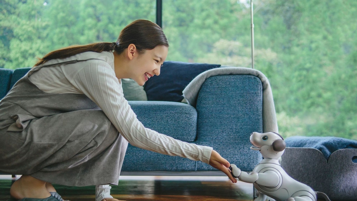 Phân khúc giải trí hiện đang chiếm ưu thế trong thị trường robot xã hội, với khoảng 74% thị phần vào năm 2024.