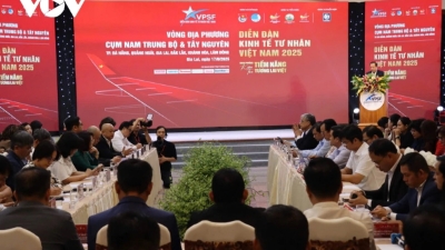Businesses propose solutions to boost private sector