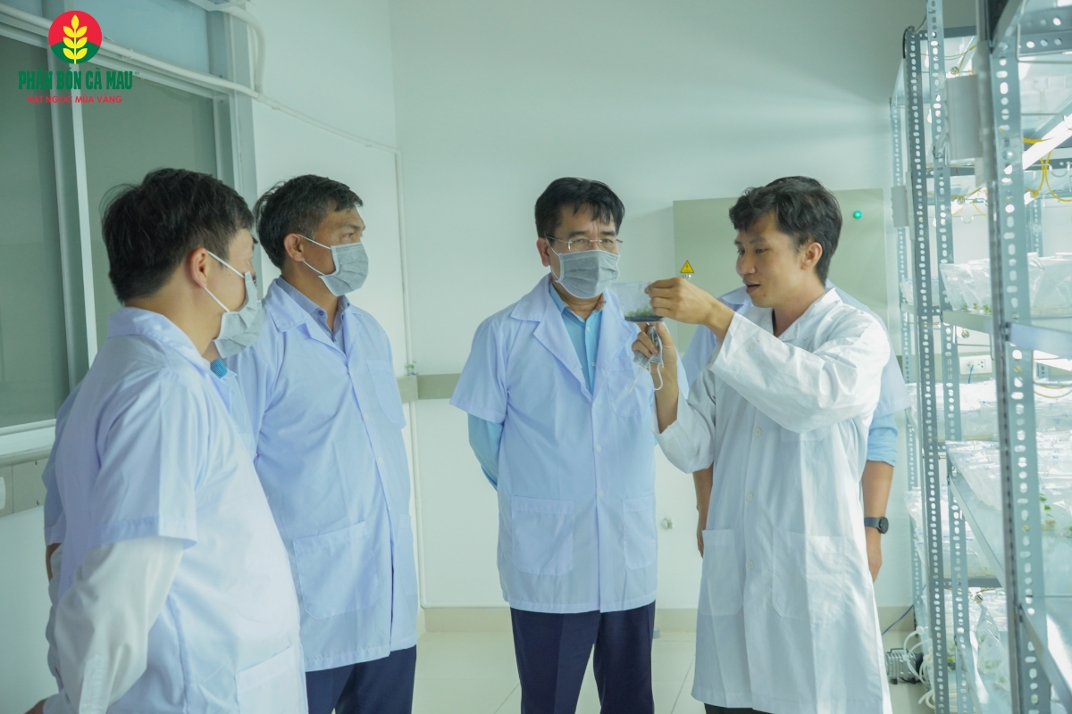 Lĩnh vực (R&D là một trong những mảng chiến lược được PVCFC ưu tiên đầu tư mạnh mẽ.