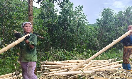 Cần chính sách sinh kế kịp thời, bền vững để người dân không