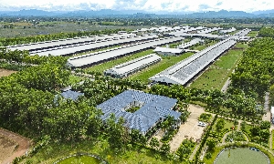 Tăng 4 bậc trong bảng xếp hạng thực phẩm toàn cầu: Vinamilk khẳng định sức mạnh thương hiệu Việt