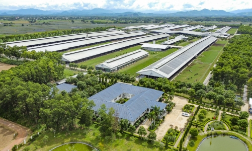 Tăng 4 bậc trong bảng xếp hạng thực phẩm toàn cầu: Vinamilk khẳng định sức mạnh thương hiệu Việt