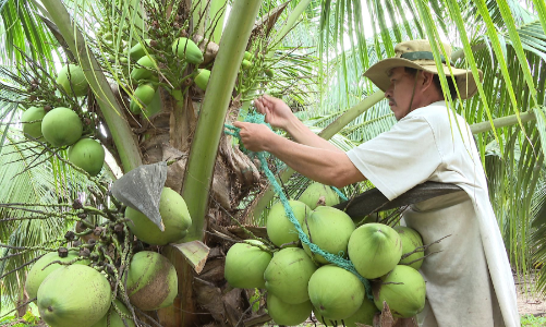 Loạt doanh nghiệp lớn Trung Quốc sẽ sang tìm kiếm đối tác tại VIS 2025