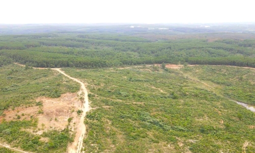 Quảng Trị rà soát, xử lý hàng loạt dự án chậm tiến độ