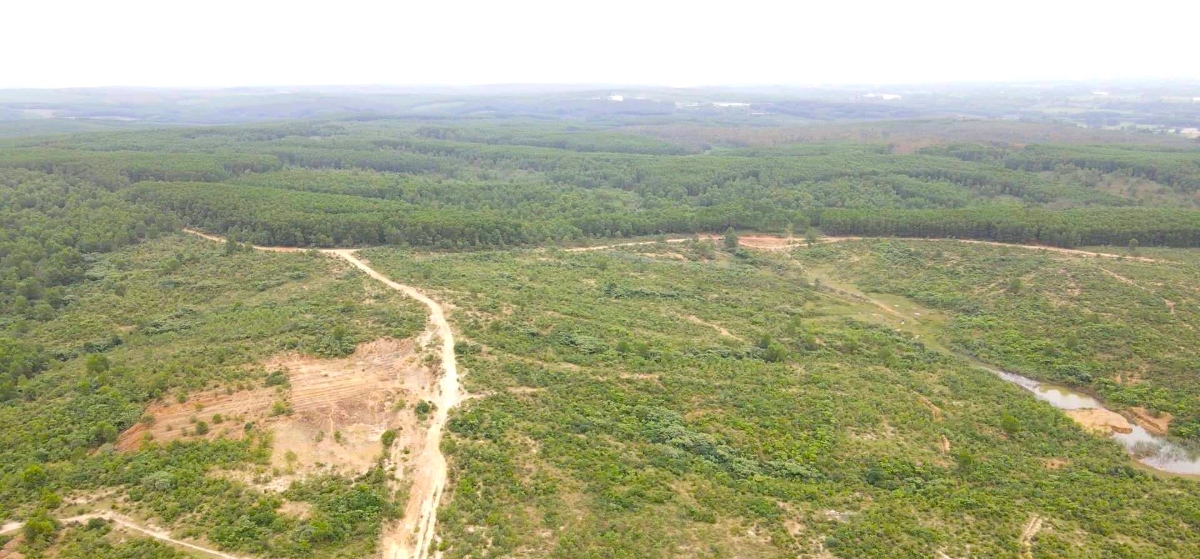 Dự án FAM Quảng Trị có tổng mức đầu tư 371 tỷ đồng, chậm tiến độ nhiều năm. Ảnh: N.V