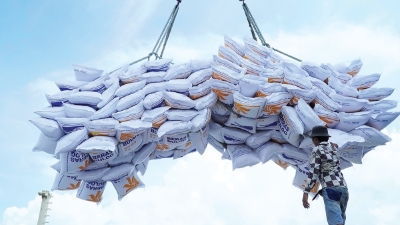 Vietnam's 2025 rice export expected at 8.8 mln tons 