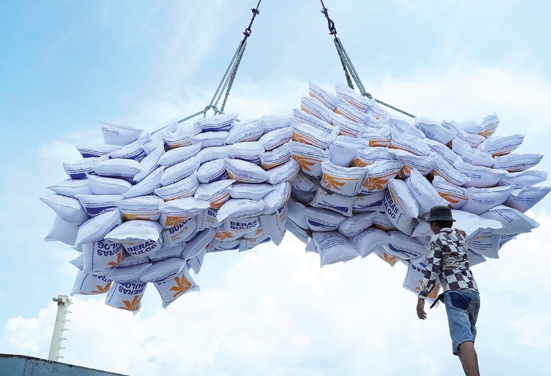 Vietnam's 2025 rice export expected at 8.8 mln tons 
