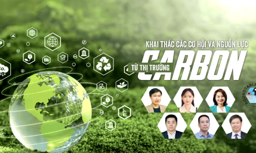 Khai thác các cơ hội và nguồn lực từ thị trường carbon