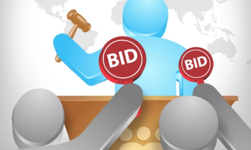 Chính phủ ban hành lộ trình bắt buộc đấu thầu lựa chọn nhà đầu tư qua mạng