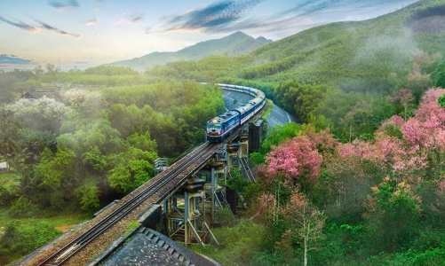 Ba loại dự án cấp thiết được tạm sử dụng rừng để thi công