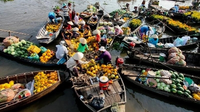 Cần Thơ đề xuất tạm dừng các cơ sở kinh doanh không đủ điều kiện ở chợ nổi Cái Răng
