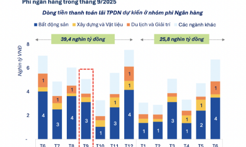 Ước tính 200.000 tỷ đồng gốc và lãi trái phiếu phi ngân hàng phải trả trong 1 năm tới, chủ yếu bất động sản