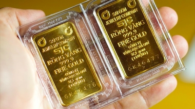 Domestic gold prices hit record high