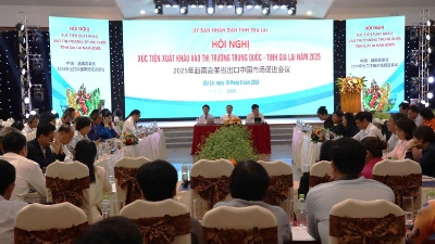 Gia Lai boosts agricultural exports to Chinese market