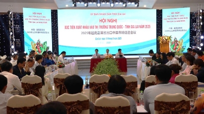 Gia Lai boosts agricultural exports to Chinese market