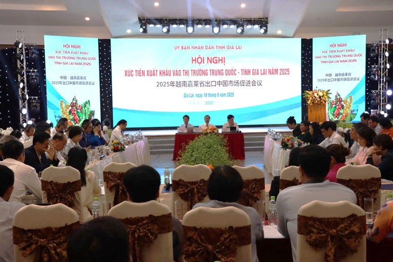Gia Lai boosts agricultural exports to Chinese market