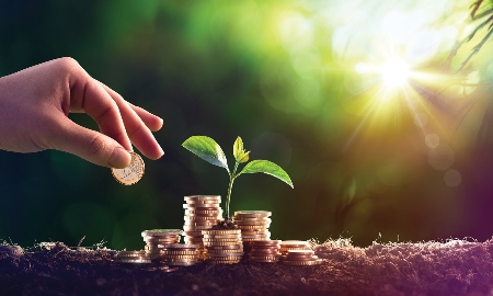 Kết nối tài chính xanh với thị trường carbon