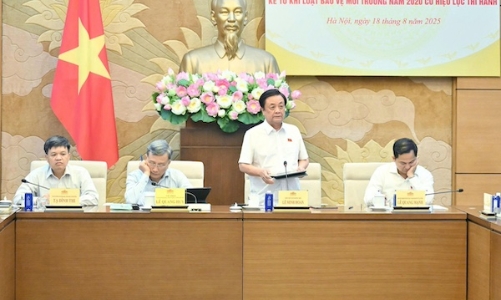 Rà soát, sớm ban hành quy định pháp luật về thị trường carbon