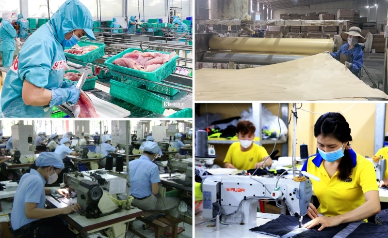 Top 100 private enterprises (PRIVATE 100) contribute VND244.4 trillion to State budget