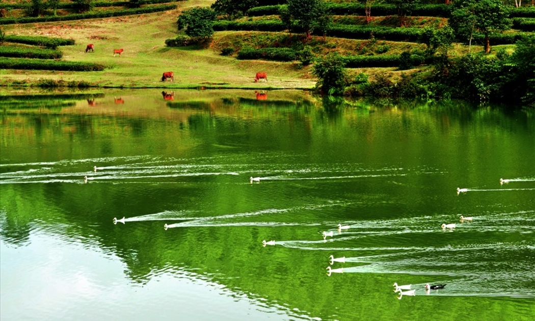 Phong cảnh thiên nhiên tại vực Ròng, xã Sơn Kim 2, Hà Tĩnh. Ảnh: Minh Lý