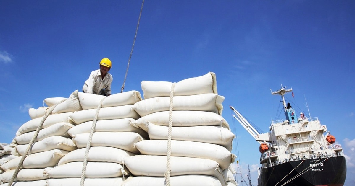 Gạo Việt Nam đang dẫn đầu thị phần tại thị trường Philippines.