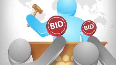 Government issues roadmap for mandatory online bidding for investor selection