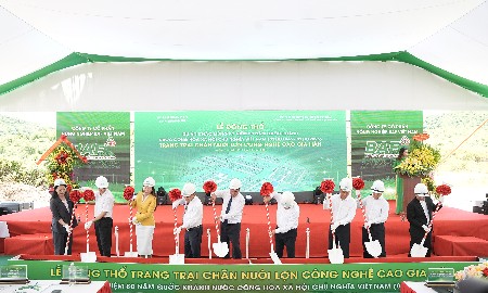 BAF Việt Nam xây dựng trang trại chăn nuôi công nghệ cao 2.000 tỷ đồng tại Quảng Trị 