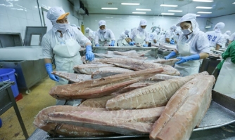 Vietnam’s tuna exports earn $542 mln in 7M