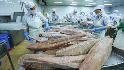 Vietnam’s tuna exports earn $542 mln in 7M