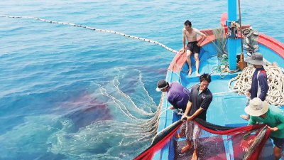 EU: market remains open for Vietnamese seafood with reciprocal cooperation