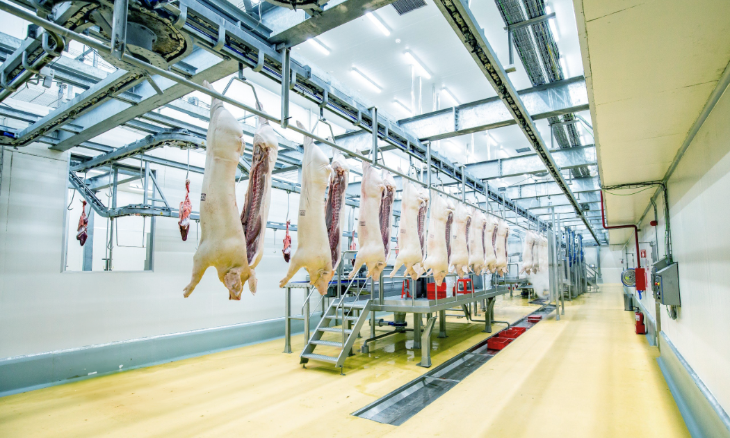 Dây chuyền sản xuất thịt ủ mát chuẩn Âu tại tổ hợp chế biến thịt MEATDeli tại Hà Nam.