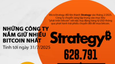 Những công ty đại chúng sở hữu nhiều bitcoin nhất