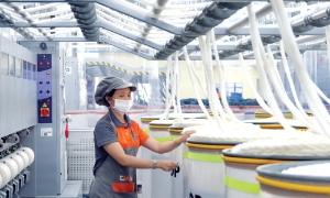 Bức tranh ESG của mỗi doanh nghiệp không giống nhau. Sự khác biệt đến từ ngành nghề, quy mô và năng lực quản trị. Ảnh minh họa
