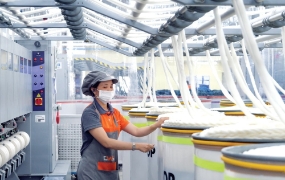 Bức tranh ESG của mỗi doanh nghiệp không giống nhau. Sự khác biệt đến từ ngành nghề, quy mô và năng lực quản trị. Ảnh minh họa
