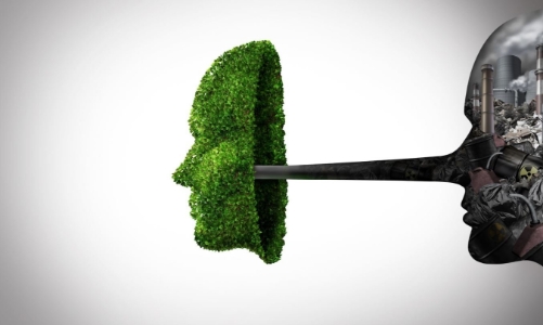 Tránh dùng AI để “tẩy xanh” trong thực thi ESG