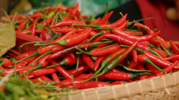 Việt Nam tiếp tục giữ vị trí đối tác thương mại lớn thứ 8 của Đài Loan (Trung Quốc)