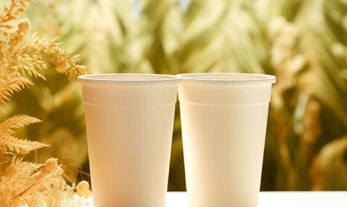 Cơ hội cho sản phẩm nhựa sinh học Việt Nam tại thị trường Tây Ban Nha