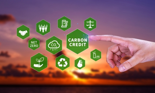 Sẽ có quy định về trao đổi quốc tế kết quả giảm phát thải và tín chỉ carbon