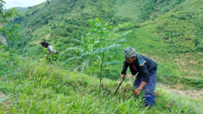 Quảng Trị khởi động dự án hỗ trợ sinh kế thích ứng biến đổi khí hậu