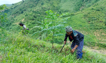 Quảng Trị khởi động dự án hỗ trợ sinh kế thích ứng biến đổi khí hậu