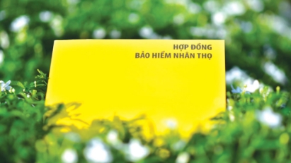 Cuộc rượt đuổi thị phần khai thác mới trên thị trường bảo hiểm nhân thọ