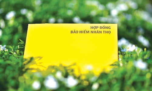 Cuộc rượt đuổi thị phần khai thác mới trên thị trường bảo hiểm nhân thọ