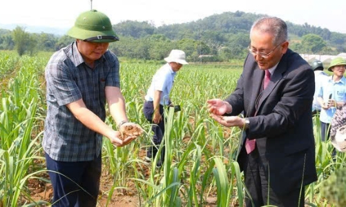 Tiêu dùng xanh và cuộc chiến 