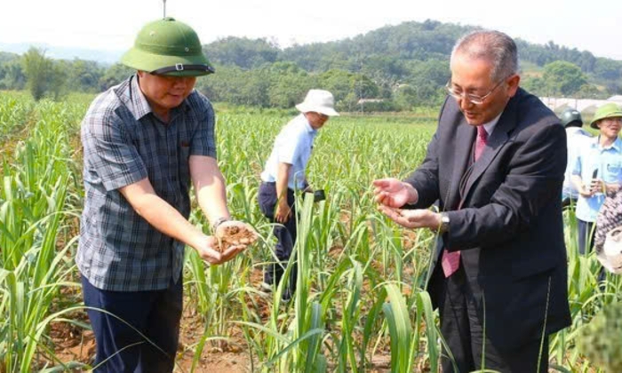 Tiêu dùng xanh và cuộc chiến "xanh thật” - "xanh giả”