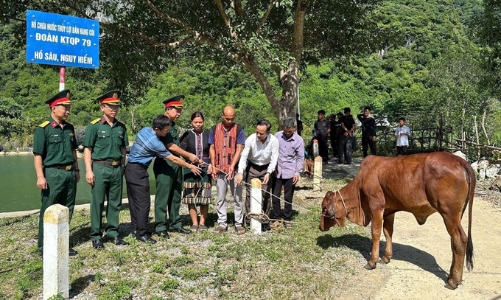 Quảng Trị: Đa dạng hóa sinh kế, nhân rộng mô hình giảm nghèo bền vững
