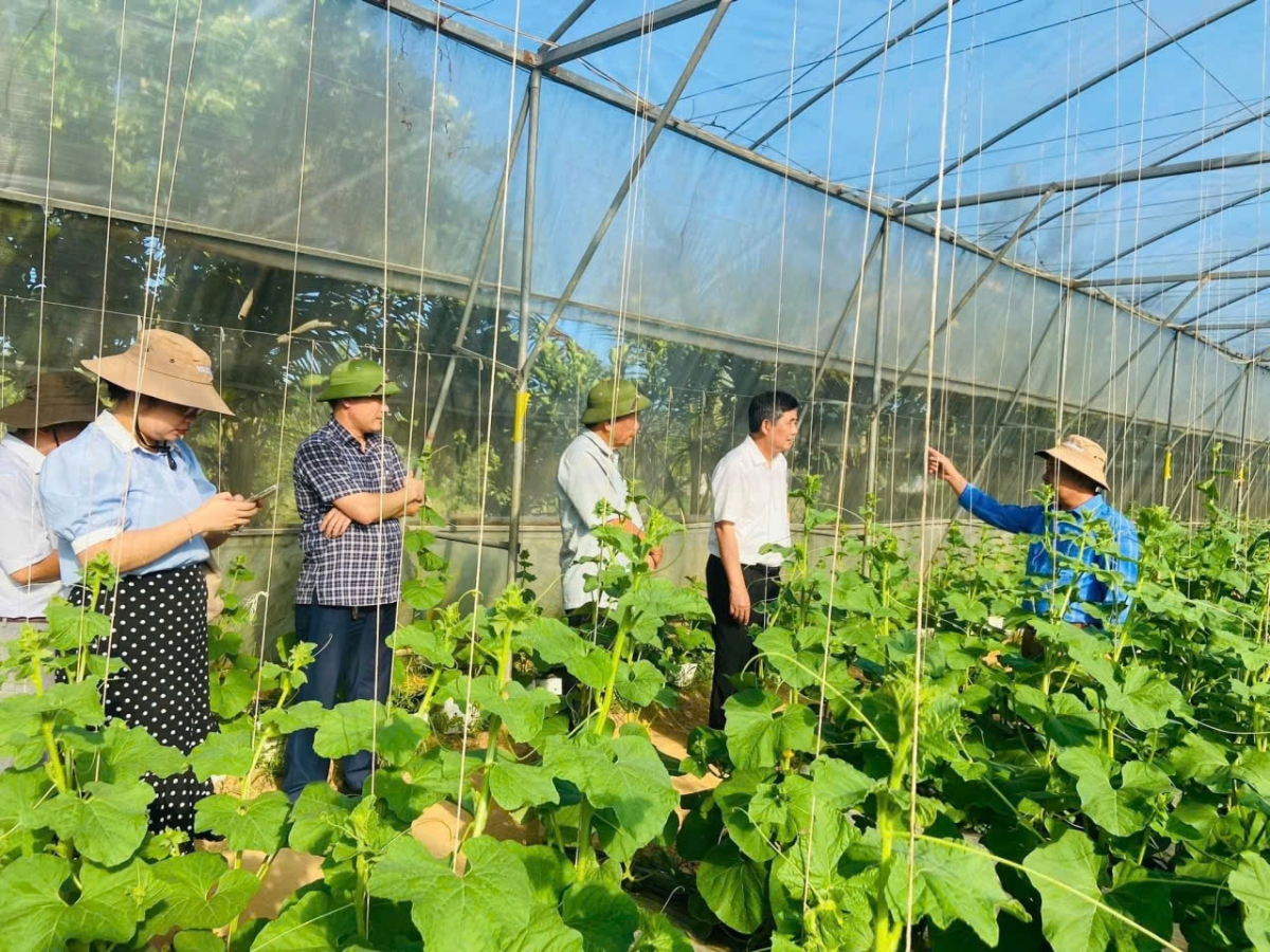 Chuyển đổi xanh trong  nông nghiệp ở trang trại quy mô lớn.