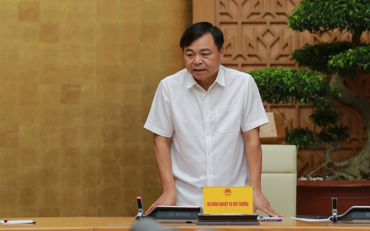 Thứ trưởng Bộ Nông nghiệp và Môi trường Nguyễn Hoàng Hiệp thông tin tại cuộc họp. Ảnh: Minh Khôi