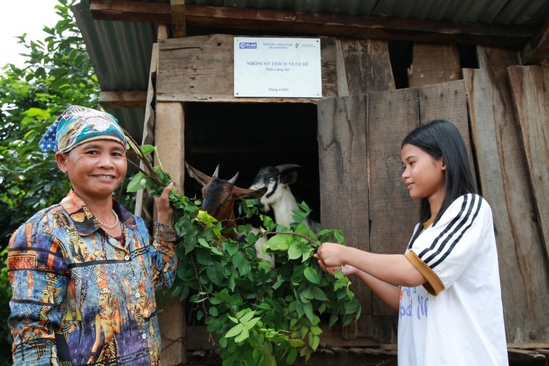Mô hình chăn nuôi dê đã giúp nhiều hộ nghèo vươn lên thoát nghèo.