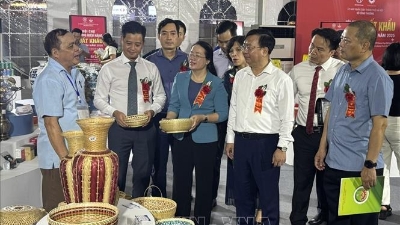 2025 Vietnam Export Brand Fair opened